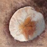 Sand Dollar II