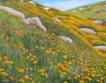 Great Poppy Year