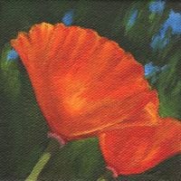 poppy oil painting