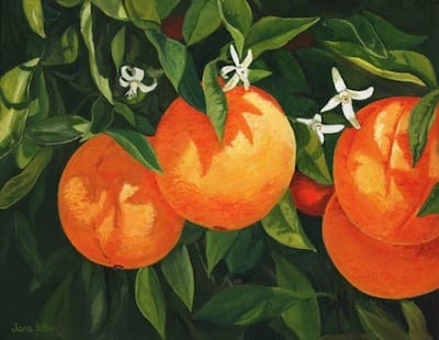 1433 Blooming oranges