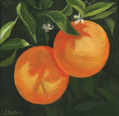 1439 Blooming Oranges 2