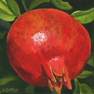 1544 Pomegranate #46