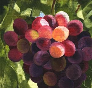 1547 Grapes VIII