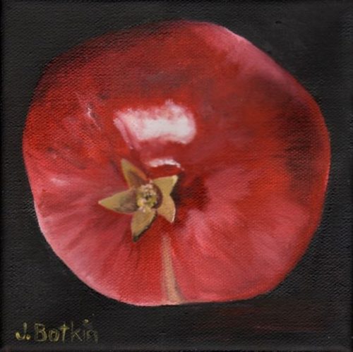 Pomegranate #52