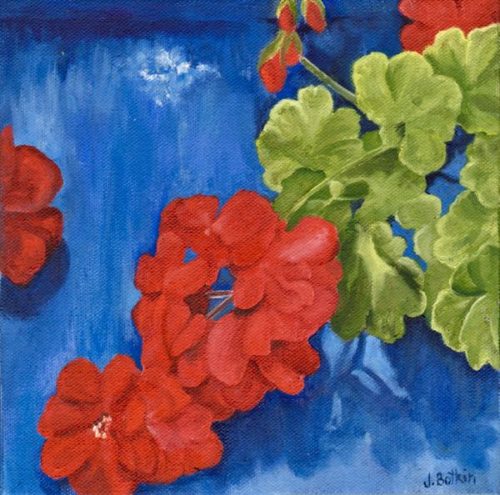 My Geraniums