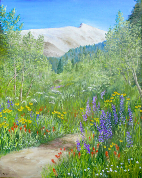 Mineral King Nature Trail