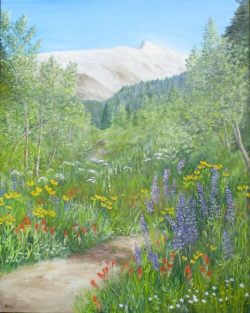Mineral King Nature Trail