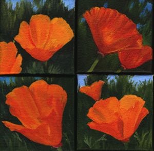 4 poppy oil paintings