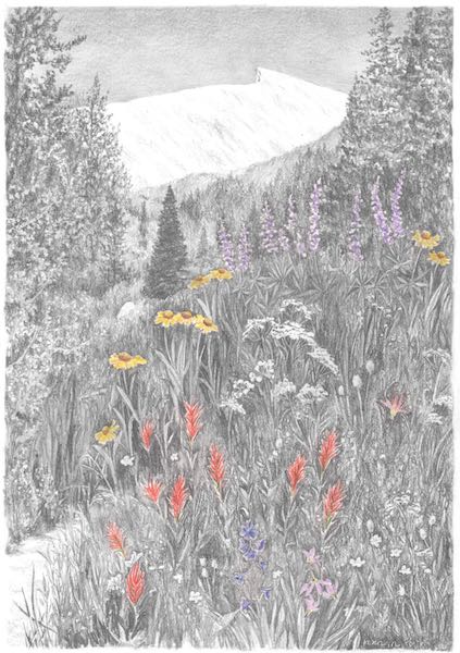 Sawtooth with Wildflowers