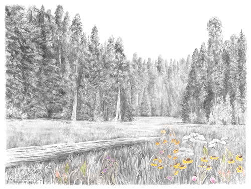 Crescent Meadow