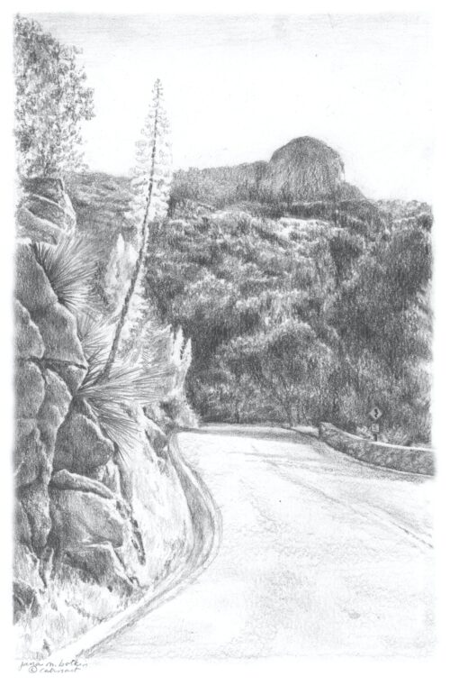Generals Highway