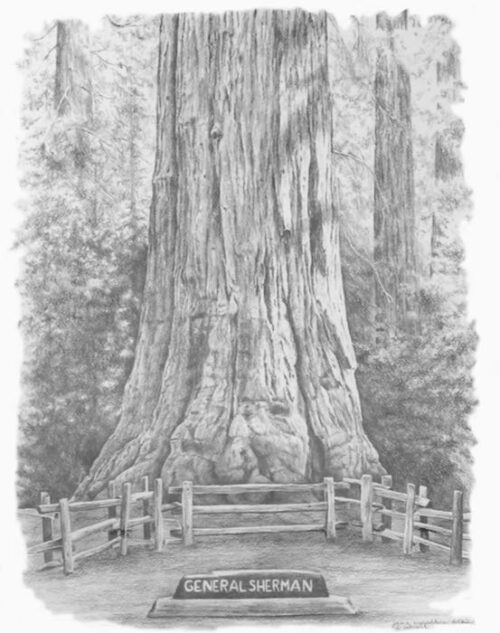 General Sherman