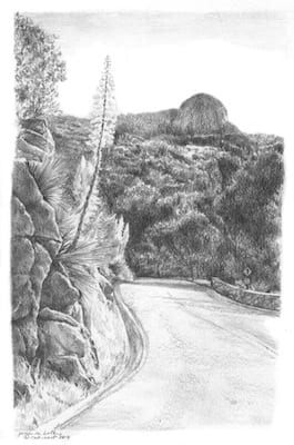 Generals Highway