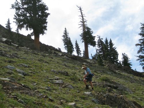 Trail Guy is heading up to Empire, Mineral King, photo by Jana Botkin