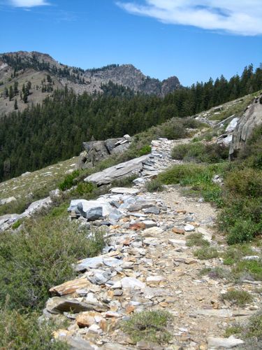 road between Empire and Timber Gap, Mineral King, photo by Jana Botkin