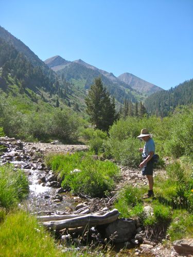 Crystal Creek, Mineral King