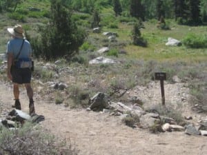 along the Franklin/Farewell Gap trail, Mineral King