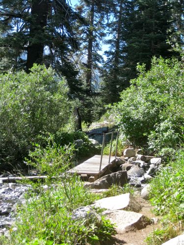 bridge over Spring Creek