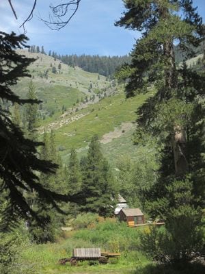 timber gap in mineral king