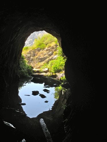 black wolf tunnel
