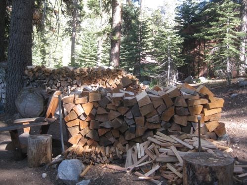Mineral King Marmots in wood stacks