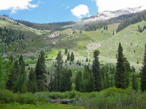 Timber Gap in Mineral King
