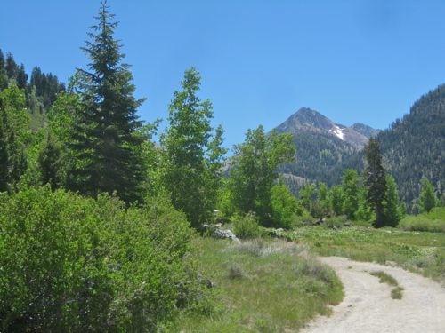 Vandever Peak in Mineral King