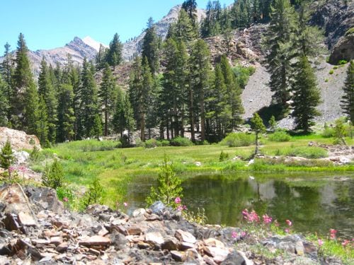 Sawtooth from White Chief