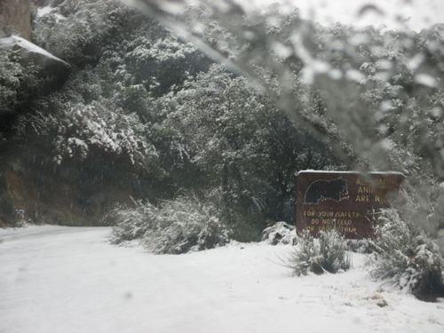 Through the windshield after the we reached the snow.