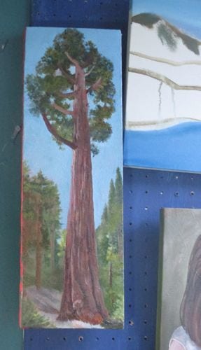 Sequoia painting