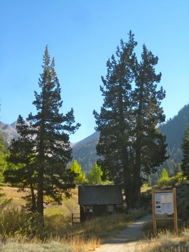 Honeymoon cabin in Mineral King