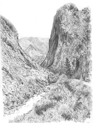 Kings Canyon View
