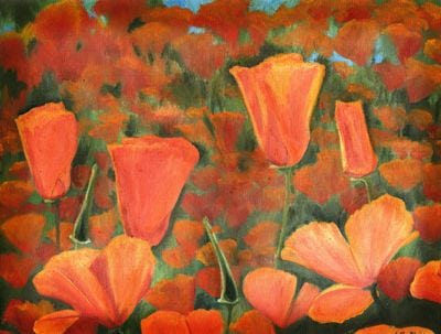 Poppies XXXII 1403