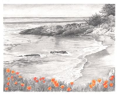 Poppies at the Beach