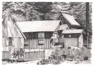 wilsonia cabin drawing