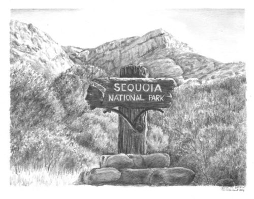 Sequoia Sign cards