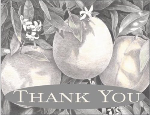 Thank you Oranges